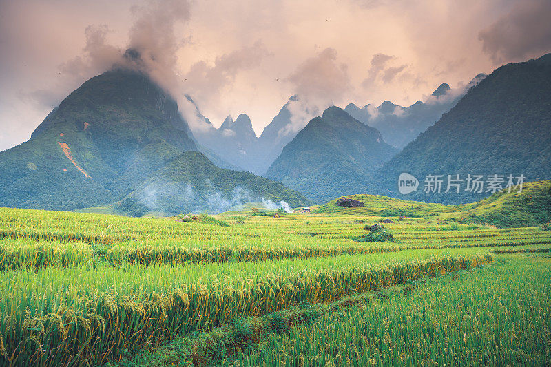 美丽的风景，绿色的稻田准备在越南西北部的梯田日落山在木仓寨，Yen Bai，越南